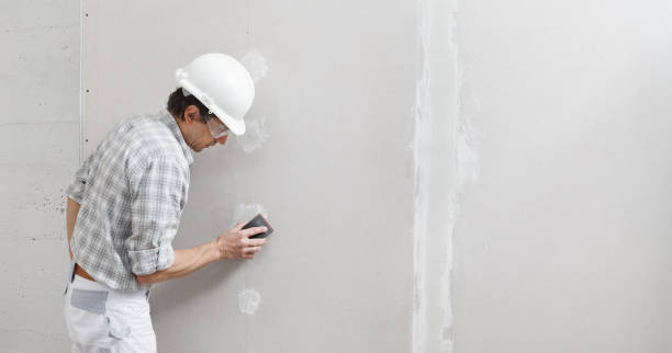 Best Pressure Washing and Painting Preparation  in Rson, CA