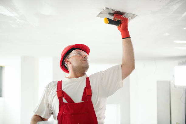 Best Wallpaper Removal and Painting  in Rson, CA